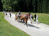 Zakopane zielona szkoa