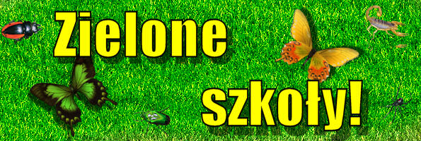 zielone szkoy