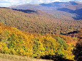 Bieszczady